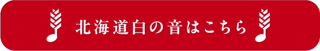 北海道白の音はこちら
